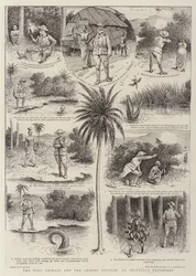 El astuto Shikari y el codicioso saurio, un expediente ingenioso